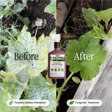 Load image into Gallery viewer, Organic Fungicide for Rose & Flower