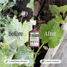 Load image into Gallery viewer, Organic Fungicide for Rose & Flower