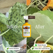 Load image into Gallery viewer, Organic Insecticide for Tomato & Vegetable
