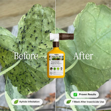 Load image into Gallery viewer, Organic Insecticide for Rose & Flower