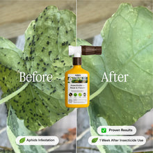 Load image into Gallery viewer, Organic Insecticide for Rose & Flower