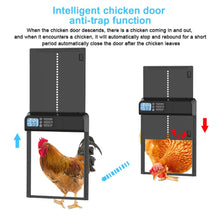 Load image into Gallery viewer, Smart Auto Chicken Coop Door with Timer