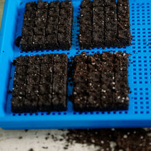 Load image into Gallery viewer, 1020 Mesh Trays Shallow Extra Strength Colors - 1" Deep