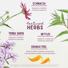 Load image into Gallery viewer, Kick-Ass Allergy & Sinus, Soother