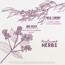 Load image into Gallery viewer, Kick-It Cough Soothing & Quieting For Kids