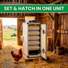 Load image into Gallery viewer, CT180 SH - Egg Incubator - Setter & Hatcher