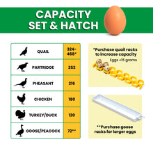Load image into Gallery viewer, CT180 SH - Egg Incubator - Setter & Hatcher