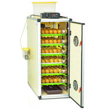 Load image into Gallery viewer, CT180 SH - Egg Incubator - Setter & Hatcher