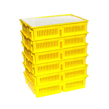 Load image into Gallery viewer, Large Chick Basket - 2 Section (2x50 Chicks)