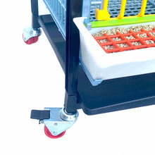 Load image into Gallery viewer, Grow Out Pen - 2 Layer H:15"