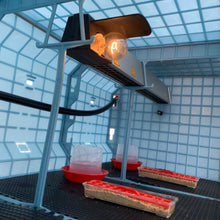 Load image into Gallery viewer, Chick Brooder - 1 Layer H: 15"