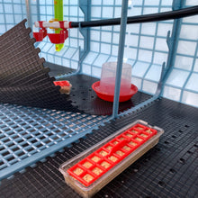 Load image into Gallery viewer, Chick Brooder - 2 Layer H: 15"