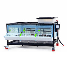 Load image into Gallery viewer, Chick Brooder - 1 Layer H: 9.5"