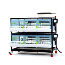 Load image into Gallery viewer, Chick Brooder - 2 Layer H: 9.5"