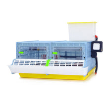 Load image into Gallery viewer, Chick Brooder - 2 Section H:9.5" (Starter Kit for Game Birds and Small Chicken Breeds)