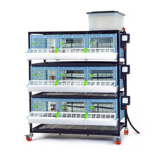 Load image into Gallery viewer, Chick Brooder - 3 Layer H: 9.5"