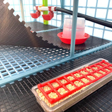 Load image into Gallery viewer, Chick Brooder - 3 Layer H: 9.5"