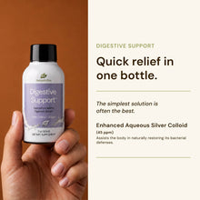 Load image into Gallery viewer, Digestive Support (Pack of 4 bottles)