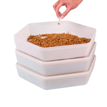 Load image into Gallery viewer, The Mealworm Growing Pods