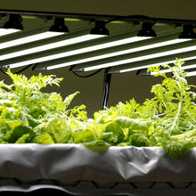 Load image into Gallery viewer, Dual-Spectrum LED Grow Light | 80 W