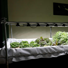 Load image into Gallery viewer, Deep Water Culture (DWC) Kit