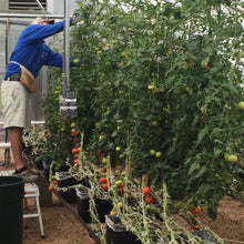 Load image into Gallery viewer, Dutch Buckets 10 Pack | No Lid