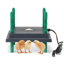 Load image into Gallery viewer, Farmight Chick Brooder Heater Plate, Adjustable Height, 3 Size Options