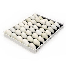 Load image into Gallery viewer, Egg Setter Tray (Flexy80ST)