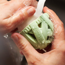 Load image into Gallery viewer, Flock Essentials Pack