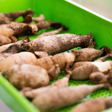 Load image into Gallery viewer, 1020 Mesh Deep Extra Strength Colors - 2.5" Deep