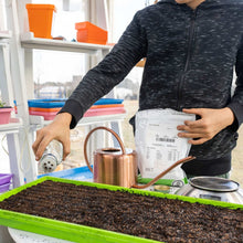 Load image into Gallery viewer, 1020 Microgreen Trays - Shallow Extra Strength Colors