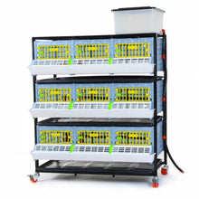 Load image into Gallery viewer, Grow Out Pen - 3 Layer H:9.5"