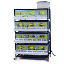 Load image into Gallery viewer, Grow Out Pen - 4 Layer H:9.5"