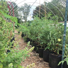 Load image into Gallery viewer, Grow Bags - 2 to 50 Gallon - Black