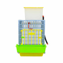 Load image into Gallery viewer, Grow Out Pen - 1 Section H:15"