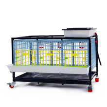 Load image into Gallery viewer, Grow Out Pen - 1 Layer H:15"