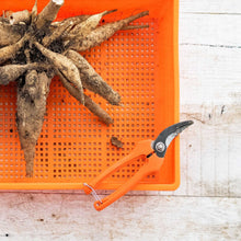 Load image into Gallery viewer, Harvesting Pruning Shears | 185 mm