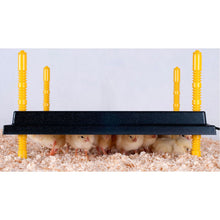 Load image into Gallery viewer, Heating Plate for Chicks (16" x 16") for 30-35 chicks
