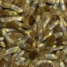 Load image into Gallery viewer, Cornflower, Blue (Centaurea cyanus)