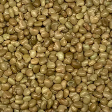 Load image into Gallery viewer, Clover, Purple Prairie (Dalea purpurea)