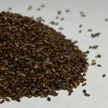 Load image into Gallery viewer, Bee Balm, Mix (Monarda fistulosa)