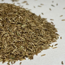 Load image into Gallery viewer, Goldenrod, Showy (Solidago speciosa)