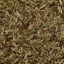 Load image into Gallery viewer, Goldenrod, Showy (Solidago speciosa)