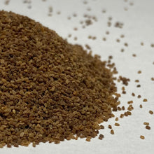 Load image into Gallery viewer, Foxglove, Purple (Digitalis purpurea)