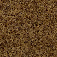 Load image into Gallery viewer, Foxglove, Purple (Digitalis purpurea)