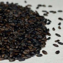 Load image into Gallery viewer, Balloon Flower (Platycodon grandiflorus)