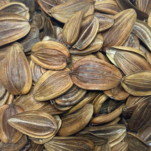 Load image into Gallery viewer, Fennel, Giant (Ferula communis)