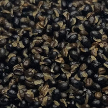 Load image into Gallery viewer, Celandine (Chelidonium majus)