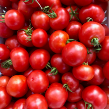 Load image into Gallery viewer, Mountain Girl Tomato