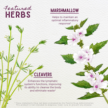 Load image into Gallery viewer, Kidney Strength Daily Support